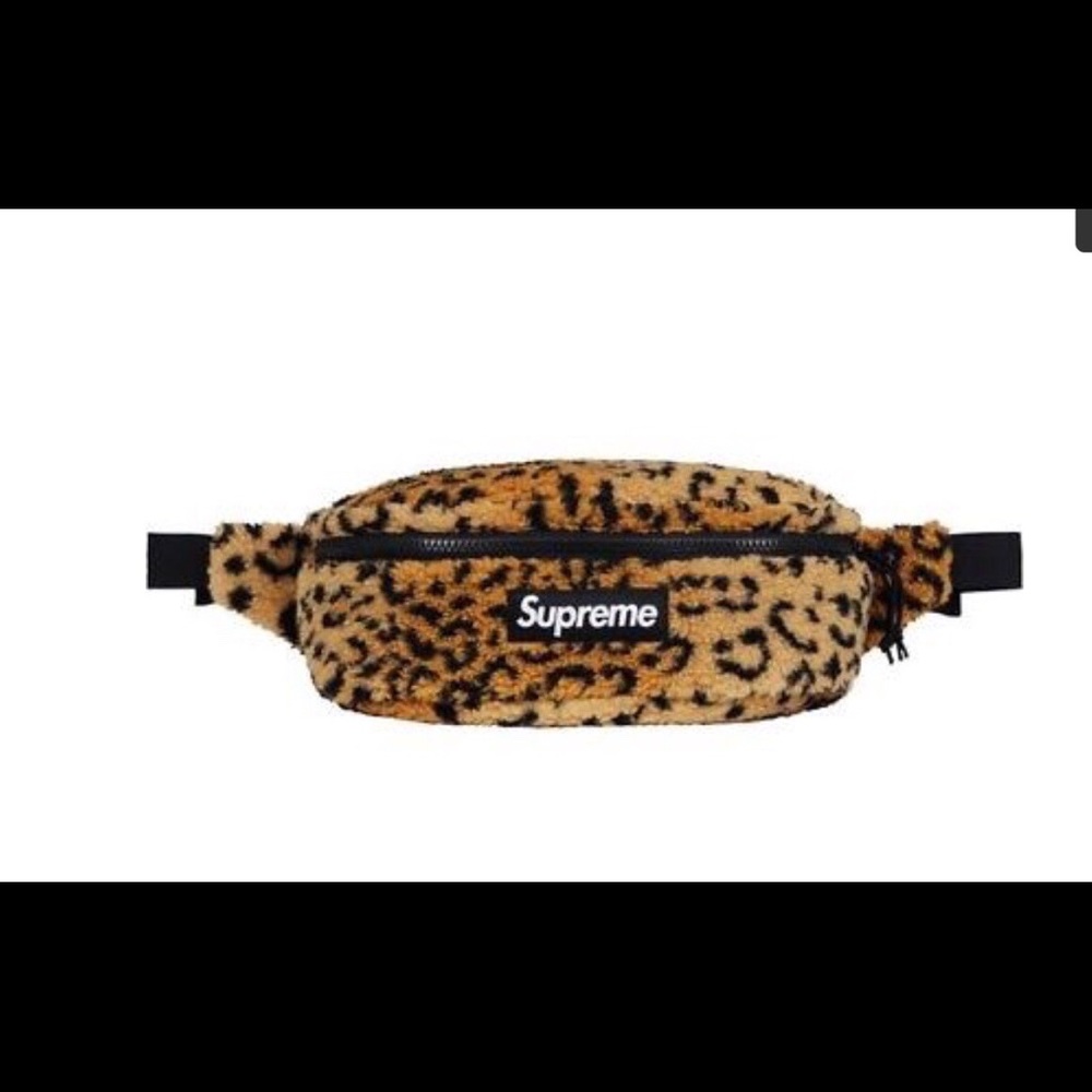 FannywaistPack